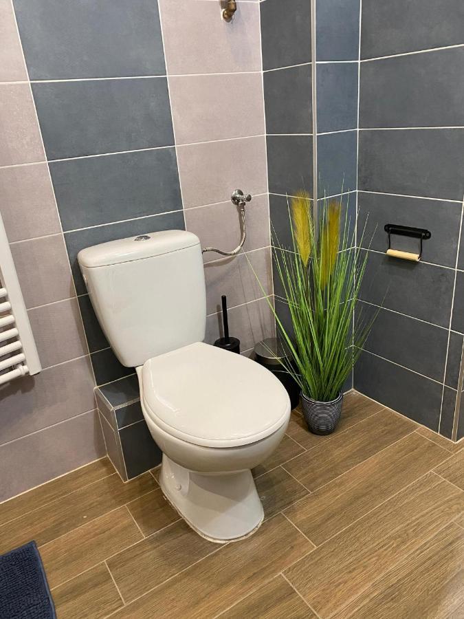 Pedal Apartman Szeged City Экстерьер фото